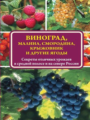 cover image of Виноград, малина, смородина, крыжовник и другие ягоды